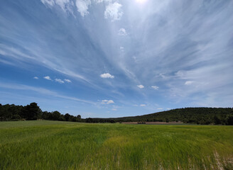 corn field under blue sky with dynamic storm clouds landscape