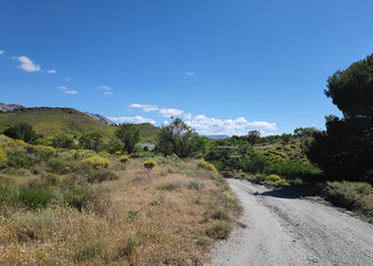 most tranquil spanish landscape clean healthy air green  and beautiful hiking path through outback