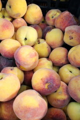 fresh apricots at the market on the counter