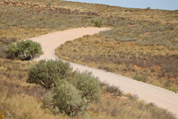 Open dirt road, Kgalagadi, South Africa