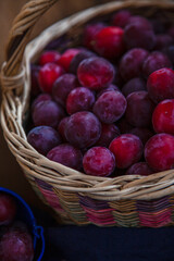 Plum in a basket. Fruit harvest. Purple ripe plums. Summer food closeup.