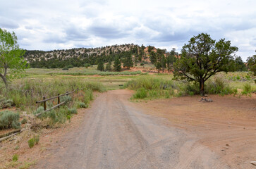 Lower Bowns Campground at Boulder Mountain (Fishlake National Forest, Utah)