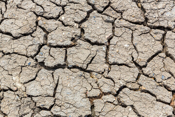 Cracked earth. Cracked mud from drought in the desert. Dry soil