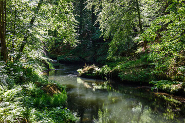 Kamenice river in the Bohemian Switzerland National Park, Czech Republic