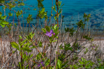 Tourism and sea travel. Island.