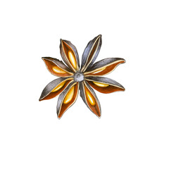 Watercolor illustration of the star anise