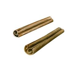 Watercolor illustration of cinnamon isolated on white background