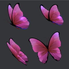 Pink butterflies on a gray background. Vector butterflies, butterfly set