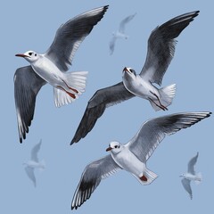 Print with graphic seagulls on a blue background

