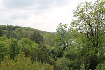 A view from Konopiste, Czech Republic