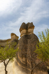 Fairy chimneys behind trees and branches in Pasabag Monks Valley, Cappadocia, Avanos, Nevsehir, Turkey..Selective focus.