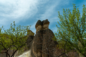 Fairy chimneys behind trees and branches in Pasabag Monks Valley, Cappadocia, Avanos, Nevsehir,...
