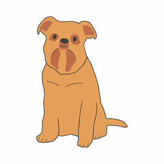 Dog of brussels griffon breed sitting on white background. Friendly purebred pet. Isolated colored flat illustration