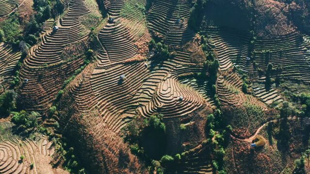 Ban Pa Pong Piang Rice terraces or Baan Pa Pong Pieng in Doi Inthanon national park, Chiang Mai, Thailand