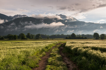 Dramatic sunrise in the countryside in spring