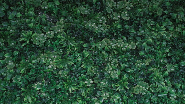 Green Botanical Wall Texture