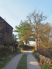 view along narrow country lane surrounded by a farmhouse and stone wall with budding spring trees...