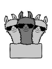 Leeres Schild Lamas Team 