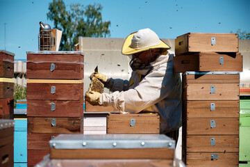 A beekeeper in a protective suit conducts a preventive inspection of bee colonies in Dadan hives.