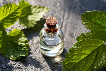 A bottle of aromatherapy essential oil with melissa herb