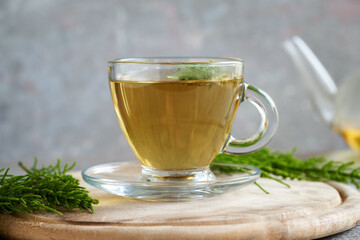 Horsetail tea with fresh horsetail plant