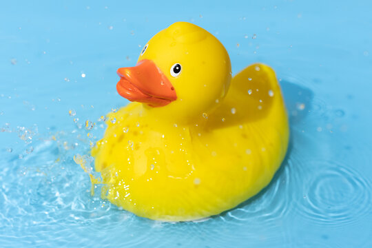 Yellow rubber duck on blue water background with splashing droplets. Leisure time playful concept