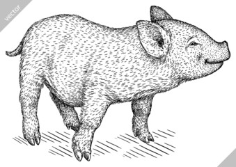black and white engrave isolated pig vector illustration