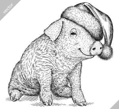 black and white engrave isolated pig vector illustration