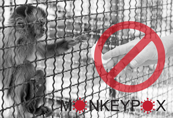 Monkeypox outbreak concept. Monkeypox is caused by monkeypox virus. Monkeypox is a viral zoonotic...