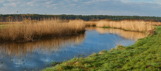 Valley river Wieprz in Lubelskie ship