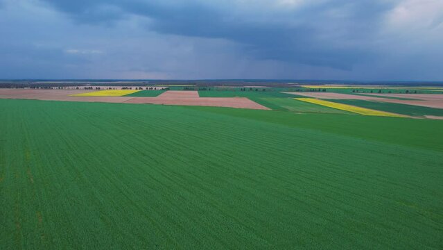 AERIAL: View of large cultivated farmland with crop fields on under storm clouds. Flying over big rural agricultural crop fields. Functional land usage at countryside for organic vegetable production.
