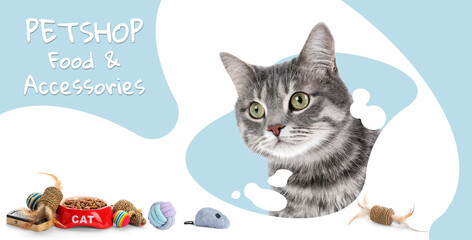 Advertising banner design for pet shop. Cute cat and different accessories on color background
