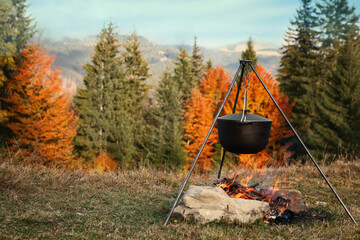 Cooking food on campfire near forest on autumn day. Camping season - obrazy, fototapety, plakaty