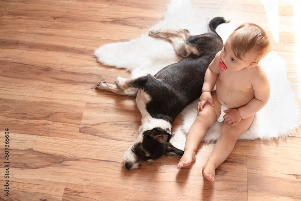 Canvas Prints Adorable baby with pacifier and cute dog on faux fur rug, above view. Space for text