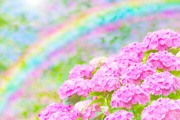 Obraz premium 紫陽花と虹の梅雨イメージ素材