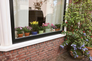 Fototapeta na wymiar House decorated with many beautiful potted flowers, view from outside