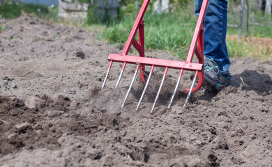A farmer in jeans digs the ground with a red fork-shaped shovel. A miracle shovel, a handy tool....