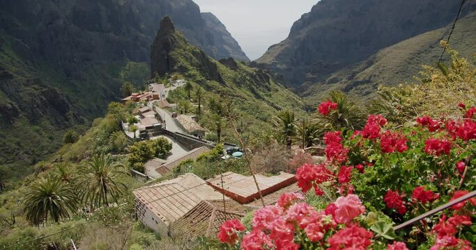 Masca Gorge and village on the island of Tenerife, Canary Islands, Spain. In the foreground red flowers.