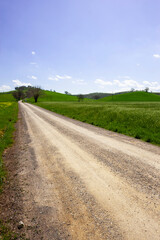Agritourism in the hills of Tuscany