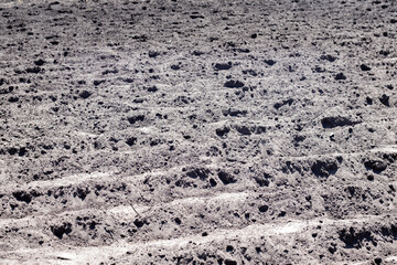 Long flat top rows, furrows, mounds for newly planted potatoes in a rural vegetable garden. A field with several rows of planted potatoes in early spring after sowing. Freshly plowed field.