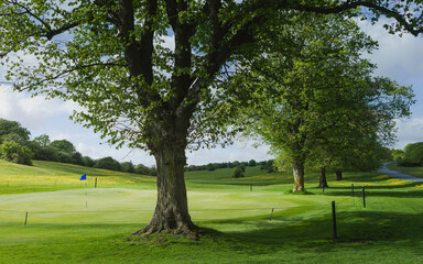 The Westwood parkland with view of golf putting green, trees, and landscap in spring. Beverley, UK.