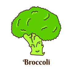 Hand drawn flat cartoon vector illustration of broccoli isolated on white background