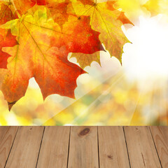 Naklejka na ściany i meble Wooden board and autumn border of maple leaves with golden bokeh background