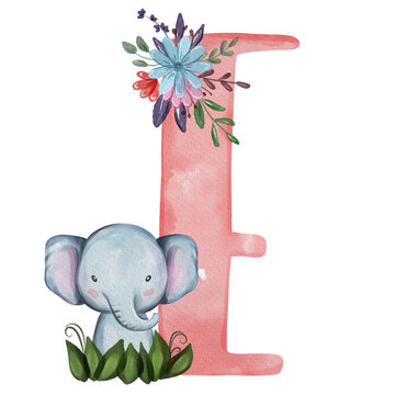 Animal nursery alphabet. E is for Elephant. Hand drawn watercolor alphabet letters