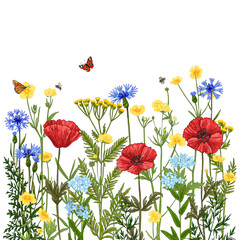 Fototapeta premium Wildflowers in summer. Wild herbs. Red poppies, cornflowers, forget-me-nots, yellow buttercups, ferns, butterflies, bees