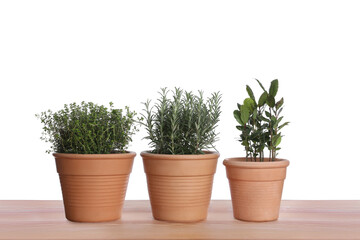 Pots with thyme, bay and rosemary on wooden table against white background