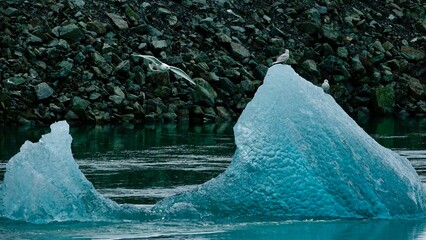 Möwen treiben auf Eisberg durch Meereslagune in Island.