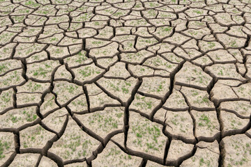 가뭄으로 갈라진 저수지와 강들의 바닥