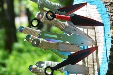 Throwing sports knives at a wooden target