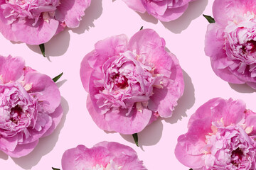 bright pink peonies pattern on a pastel pink background